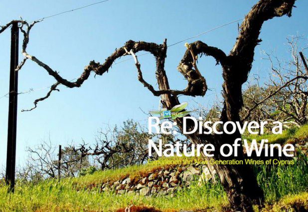 A nature of wine - cyprus wine blog