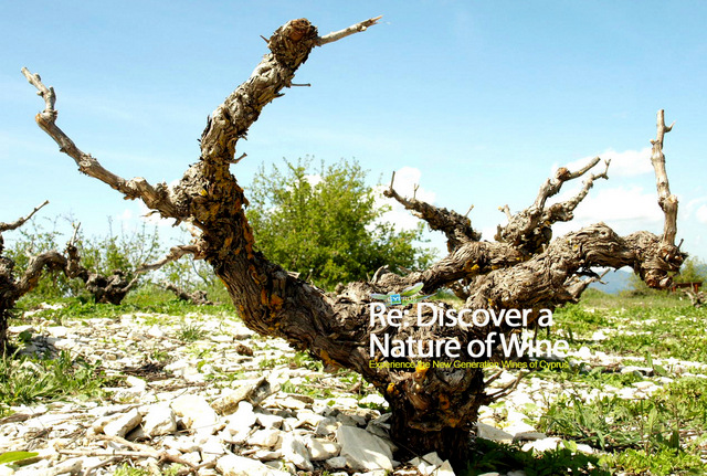 Vines of Cyprus - Winemaking regions of Cyprus